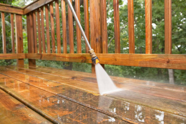 Best Roof Washing  in Pleasant Run, OH